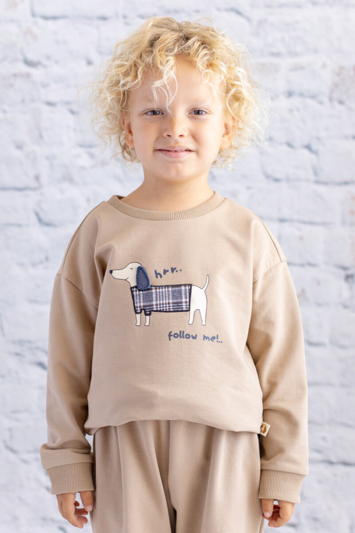 Wholesale Baby Boy Printed Embroidered Sweatshirt 6-48M - Producer: Zeyland - Wholesale Kids & Baby Clothes From Turkey - TheBS Kids