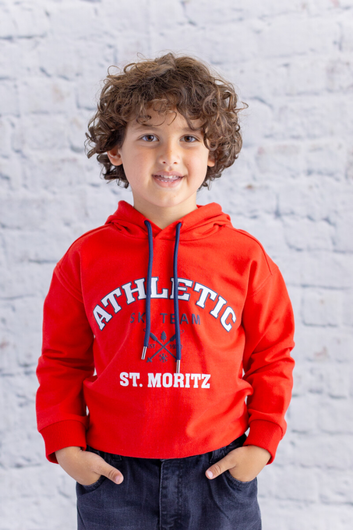 Wholesale Boys Hooded Printed Sweatshirt 1-12Y - Producer: Zeyland - Wholesale Kids & Baby Clothes From Turkey - TheBS Kids