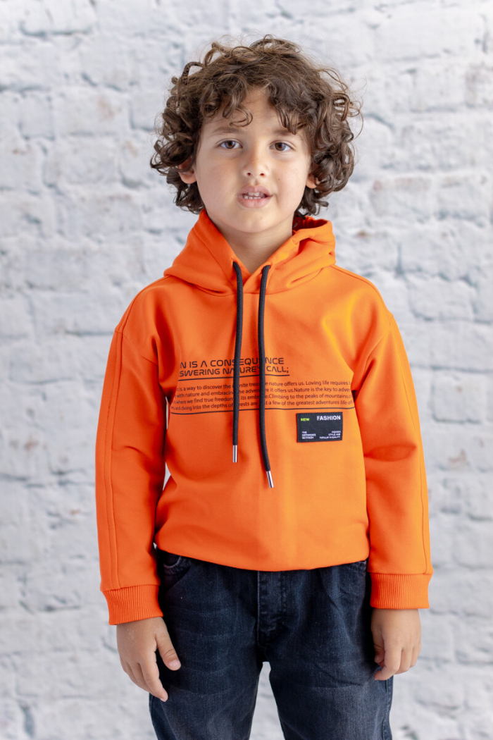 Wholesale Boys' Hooded Printed Sweatshirt 1-12Y - Producer: Zeyland - Wholesale Kids & Baby Clothes From Turkey - TheBS Kids
