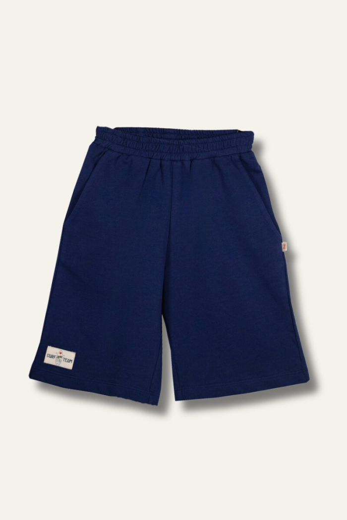 Wholesale Boys Shorts 1-14Y - Producer: Zeyland - Wholesale Kids & Baby Clothes From Turkey - TheBS Kids
