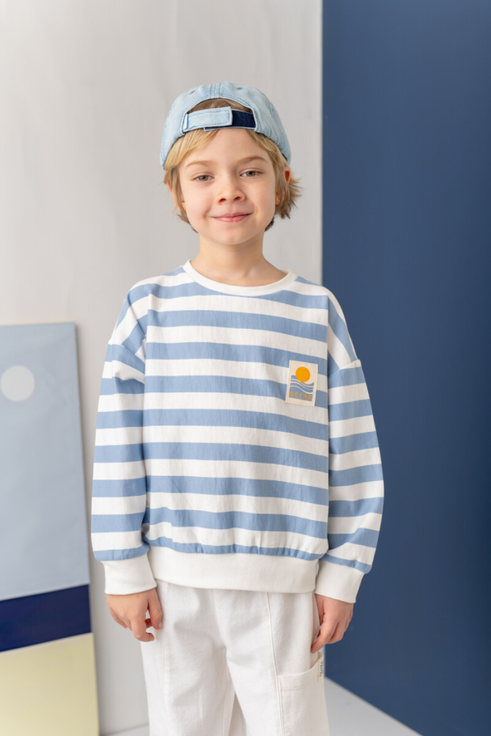 Wholesale Boys Sweatshirt 1-14Y - Producer: Zeyland - Wholesale Kids & Baby Clothes From Turkey - TheBS Kids