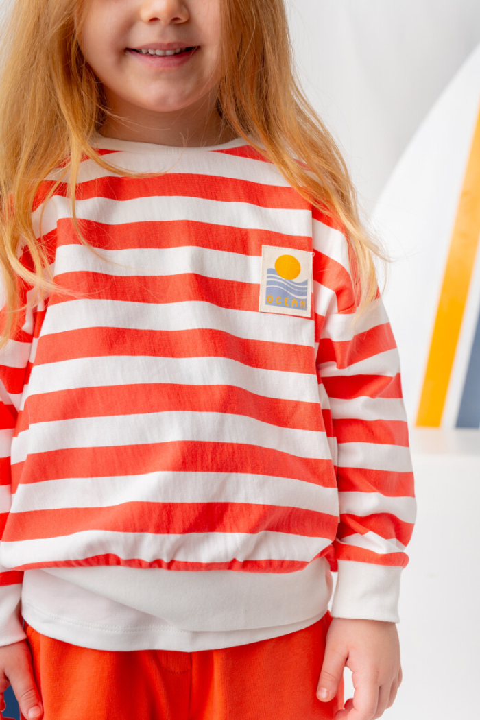 Wholesale Boys Sweatshirt 1-14Y - Producer: Zeyland - Wholesale Kids & Baby Clothes From Turkey - TheBS Kids