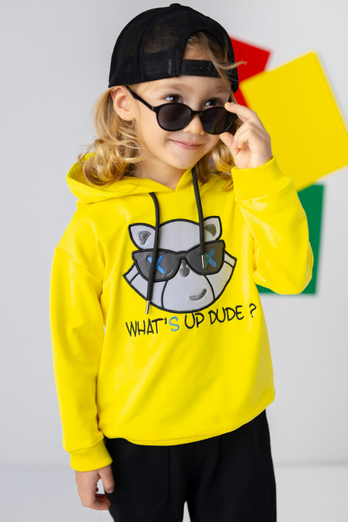Wholesale Boys Sweatshirt 3-14Y - Producer: Zeyland - Wholesale Kids & Baby Clothes From Turkey - TheBS Kids