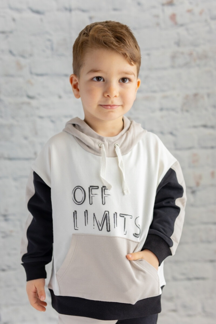 Wholesale Boys Sweatshirt 6-12Y - Producer: Zeyland - Wholesale Kids & Baby Clothes From Turkey - TheBS Kids