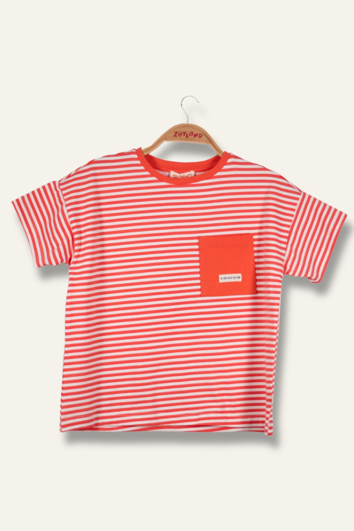 Wholesale Boys T-shirt 1-14Y - Producer: Zeyland - Wholesale Kids & Baby Clothes From Turkey - TheBS Kids