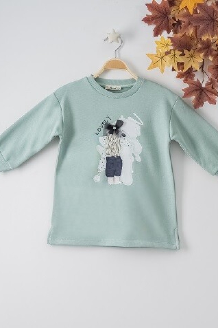 Wholesale Girls Sweat with Printed 3-6Y - Producer: Büşra Bebe - Wholesale Kids & Baby Clothes From Turkey - TheBS Kids