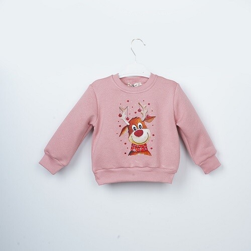 Wholesale Girls Sweatshirt 3-6Y - Producer: Büşra Bebe - Wholesale Kids & Baby Clothes From Turkey - TheBS Kids