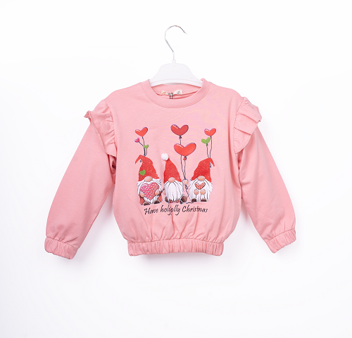 Wholesale Girls Sweatshirt 3-6Y - Producer: Büşra Bebe - Wholesale Kids & Baby Clothes From Turkey - TheBS Kids