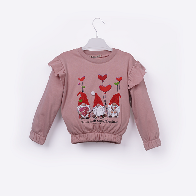 Wholesale Girls Sweatshirt 3-6Y - Producer: Büşra Bebe - Wholesale Kids & Baby Clothes From Turkey - TheBS Kids