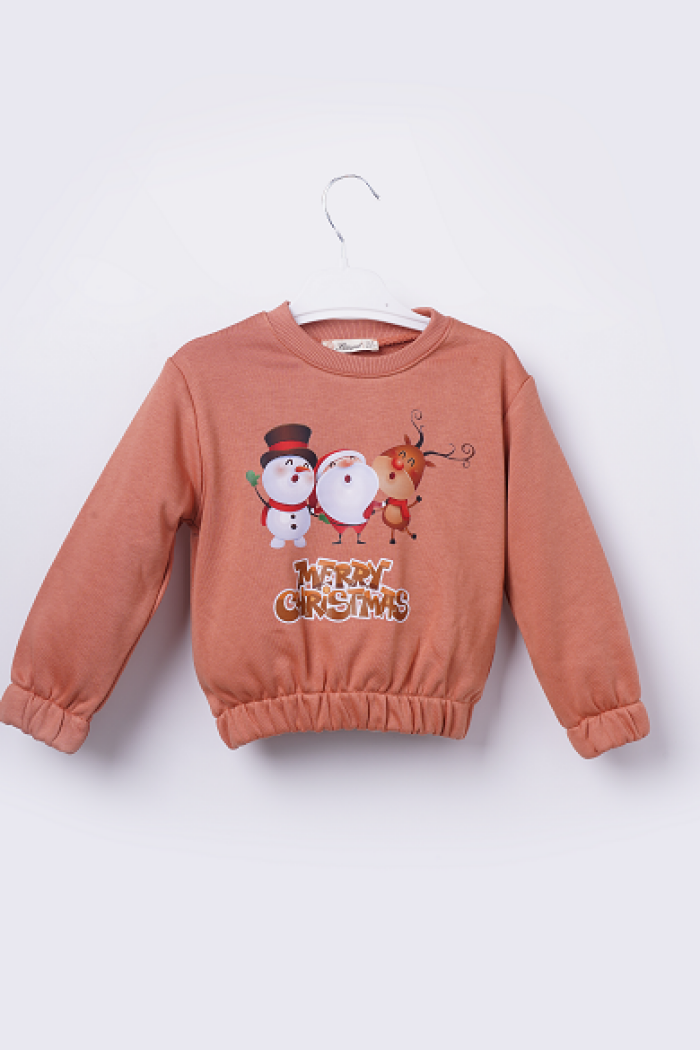 Wholesale Girls Sweatshirt 3-6Y - Producer: Büşra Bebe - Wholesale Kids & Baby Clothes From Turkey - TheBS Kids