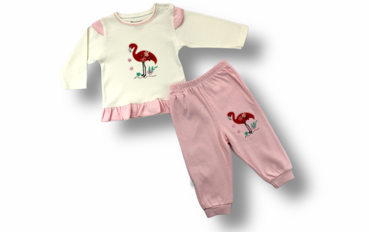 Baby Sets - Toptan Bebek 2'li Eşofman Takımı 3-12M 1074-75375 - Brand: Tomuycuk - Kids & Bby Clothes From TheBS Kids Turkey